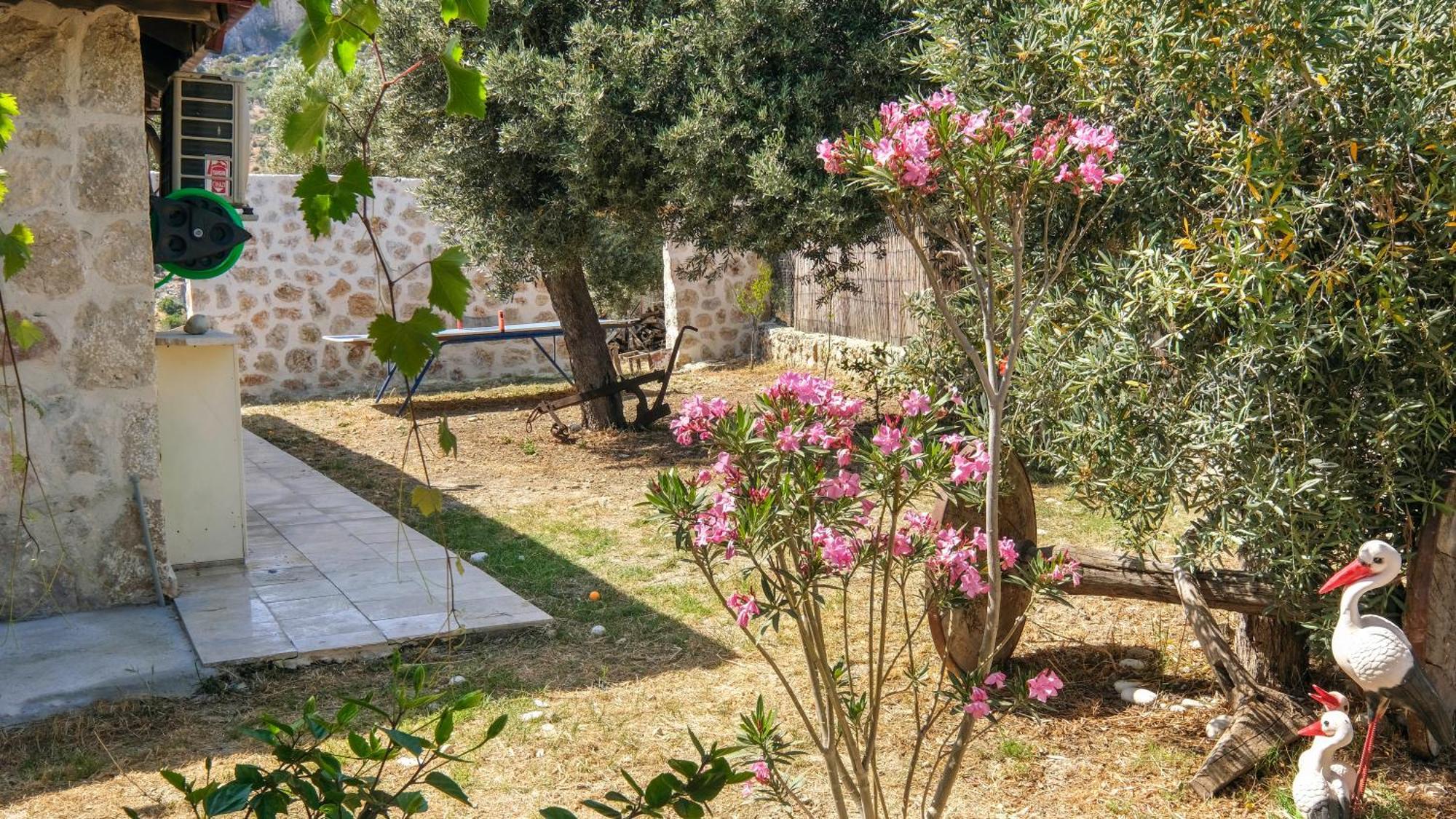 Likya House - Deniz Ve Doga Manzarali, Havuzlu Villa Patara Eksteriør bilde